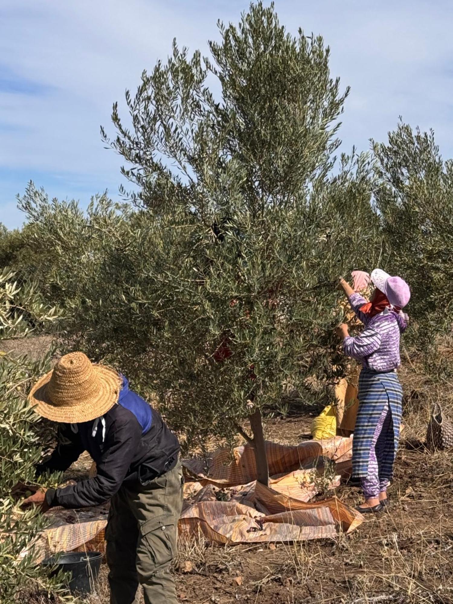 Sefrou Bhalil Farm House מראה חיצוני תמונה